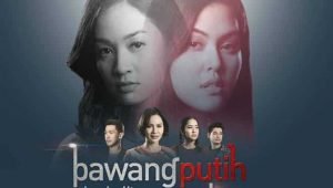 sinopsis bawang putih berkulit merah