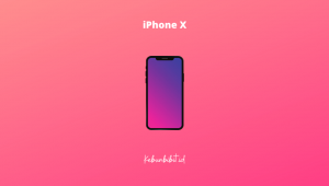 iPhone X