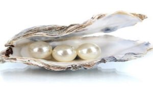 Fakta Menarik Tentang Mutiara