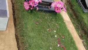 tanaman hiasan kuburan makam