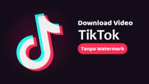 Cara Download Video TikTok Tanpa Watermark dengan Aplikasi SSSTik
