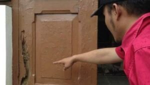 Panduan Perlindungan Anti Rayap