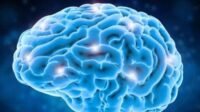 Ini Alasan Otak Bisa Menyusut Seiring Bertambahnya Usia