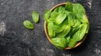 5 Daun Herbal untuk Menjaga Kesehatan Paru-Paru dan Melancarkan Pernapasan