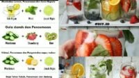 Infused Water: Resep Segar, Sehat, dan Kaya Manfaat dari Kebunbibit.id
