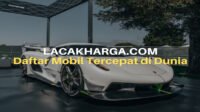 Mobil Tercepat di Dunia: Menjelajah Batas Kecepatan dan Teknologi dengan Kebunbibit.id