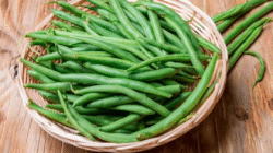 Manfaat Konsumsi Buncis untuk Menunjang Kesehatan Harian