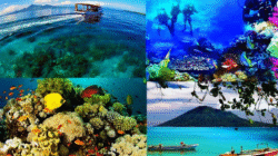 Pesona Bunaken Hadirkan Keindahan Laut yang Memukau