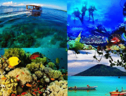 Pesona Bunaken Hadirkan Keindahan Laut yang Memukau