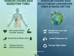 Tips Memilih Helm Motor yang Aman dan Nyaman untuk Perjalanan Jauh atau Touring Luar Kota